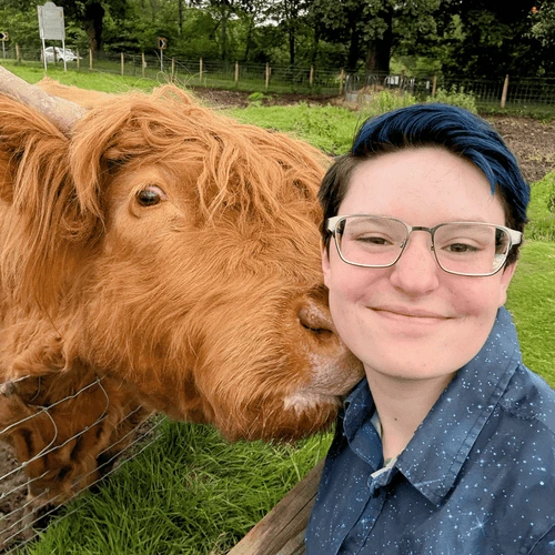 A photo of Parker, a young adult with blue hair, posing next to a Highland Cow.